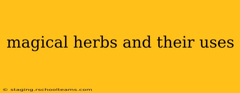 magical herbs and their uses