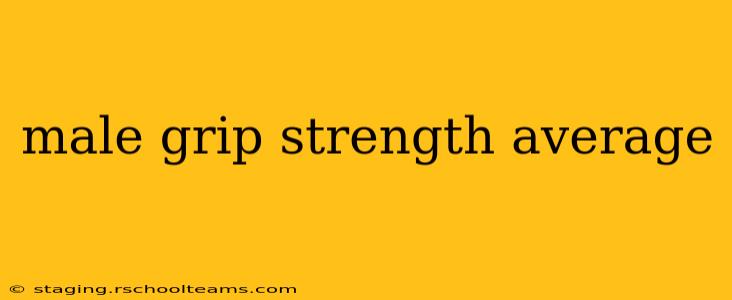 male grip strength average