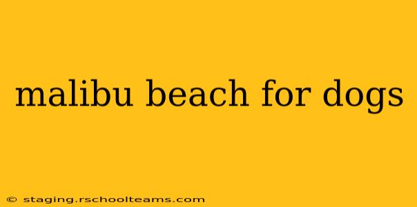 malibu beach for dogs