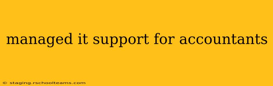 managed it support for accountants