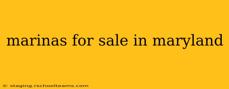 marinas for sale in maryland