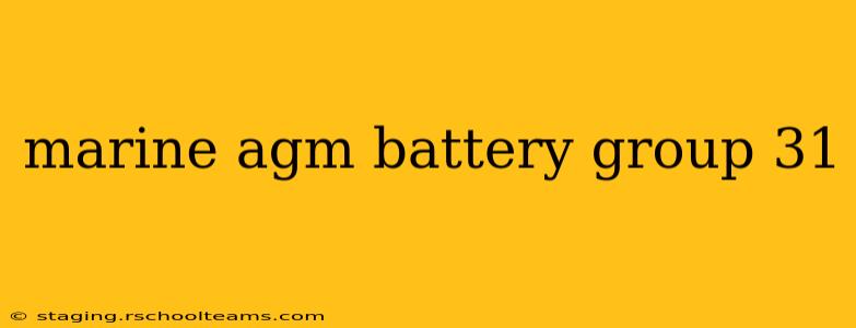 marine agm battery group 31