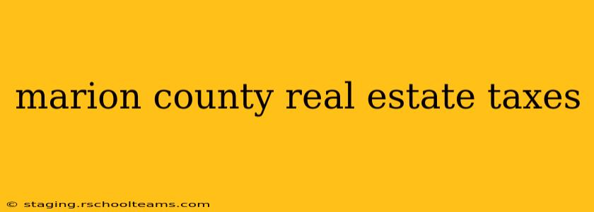 marion county real estate taxes