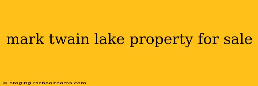 mark twain lake property for sale