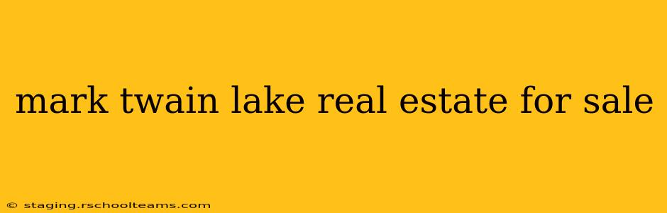 mark twain lake real estate for sale