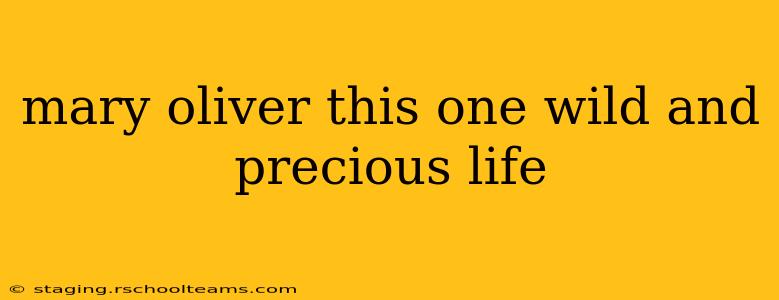 mary oliver this one wild and precious life