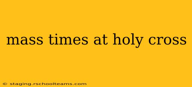 mass times at holy cross