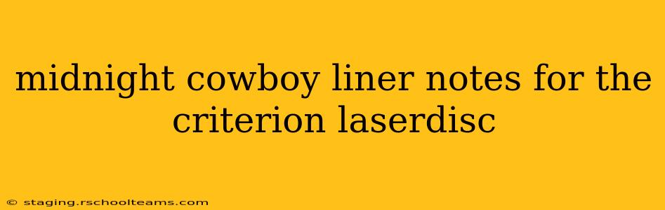 midnight cowboy liner notes for the criterion laserdisc