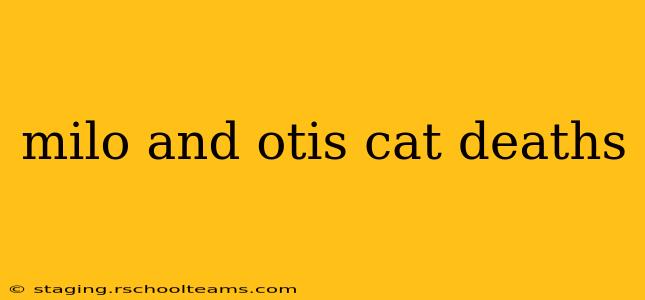 milo and otis cat deaths
