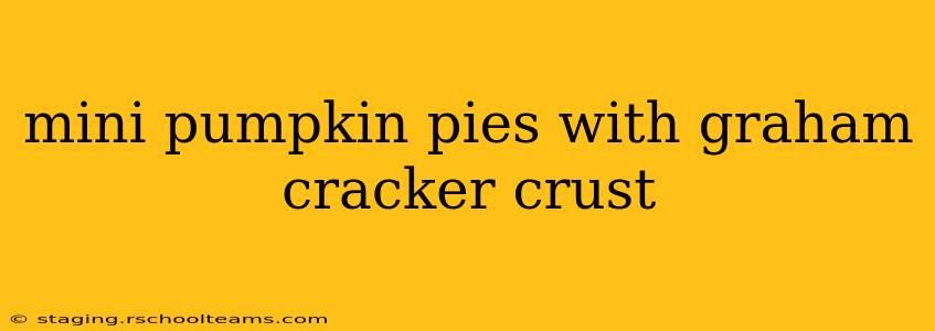 mini pumpkin pies with graham cracker crust