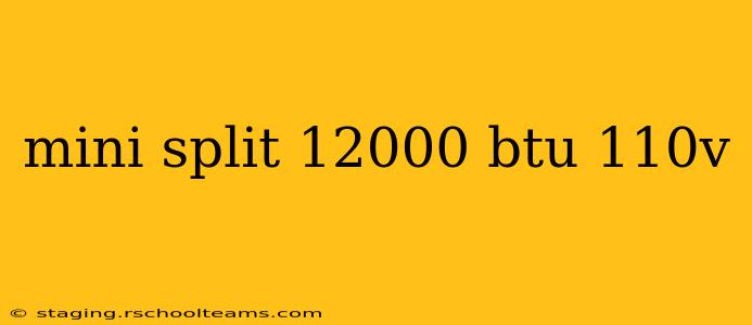 mini split 12000 btu 110v