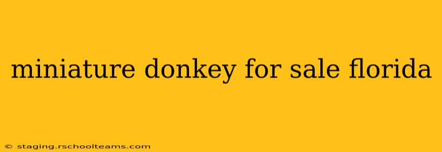miniature donkey for sale florida
