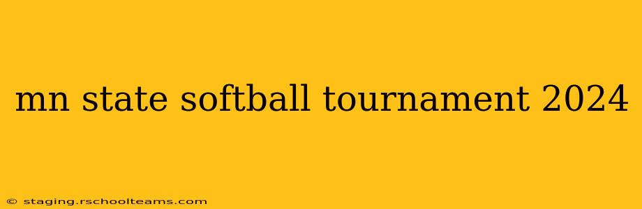 mn state softball tournament 2024