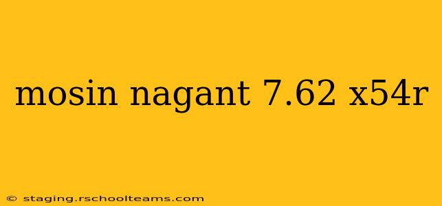 mosin nagant 7.62 x54r