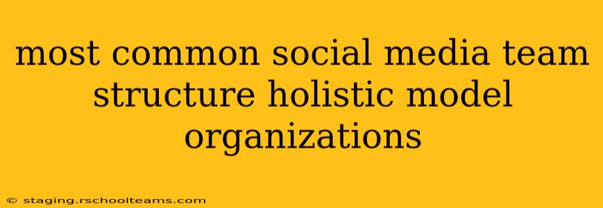 most common social media team structure holistic model organizations