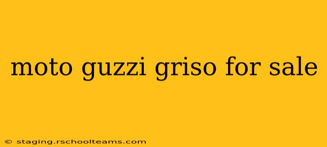 moto guzzi griso for sale