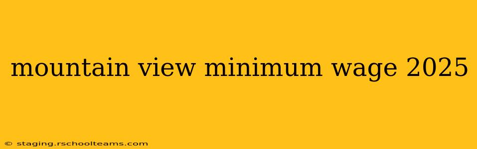mountain view minimum wage 2025