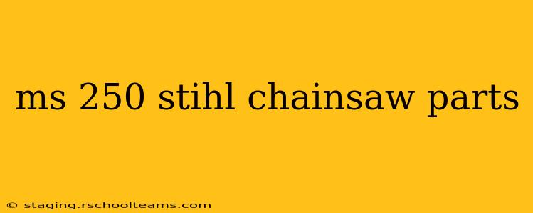ms 250 stihl chainsaw parts