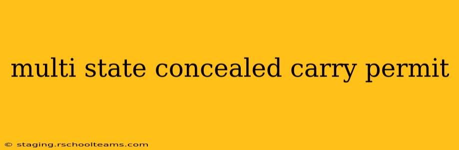 multi state concealed carry permit