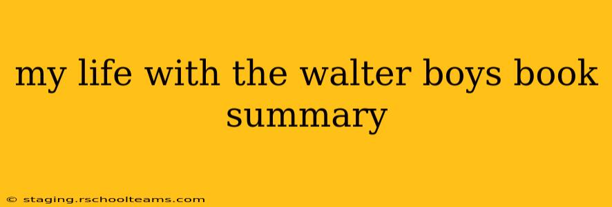 my life with the walter boys book summary