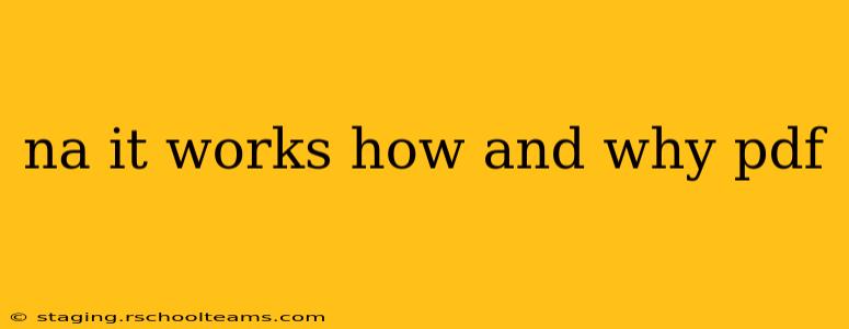 na it works how and why pdf
