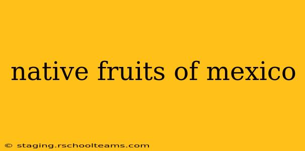 native fruits of mexico