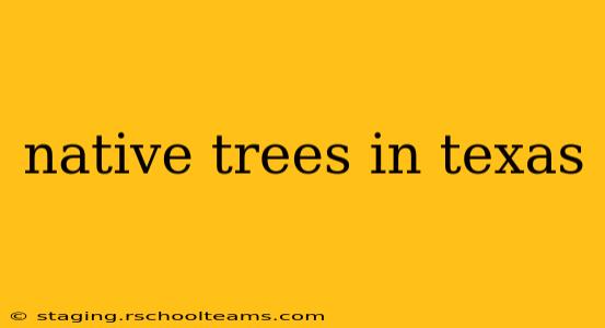 native trees in texas