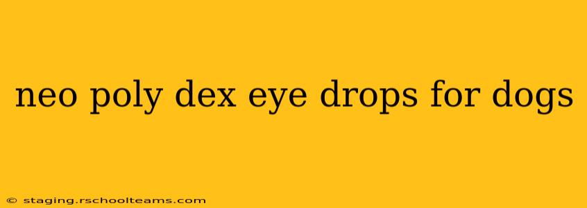 neo poly dex eye drops for dogs