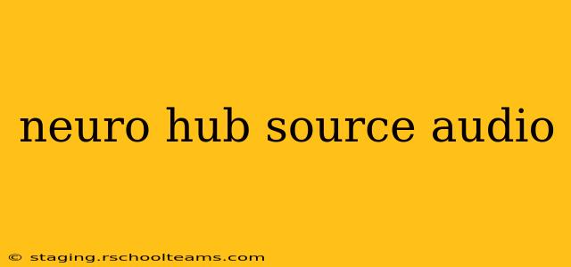 neuro hub source audio