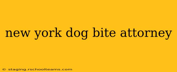 new york dog bite attorney