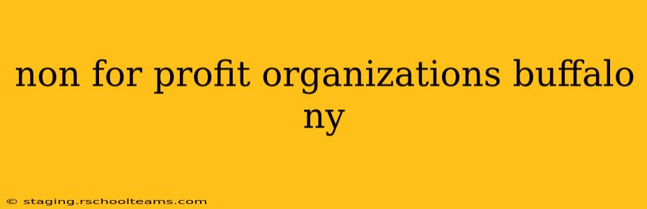 non for profit organizations buffalo ny