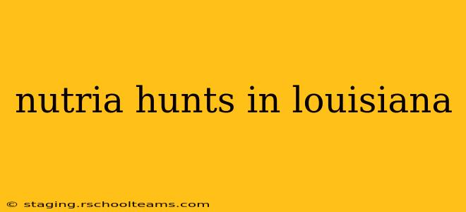 nutria hunts in louisiana