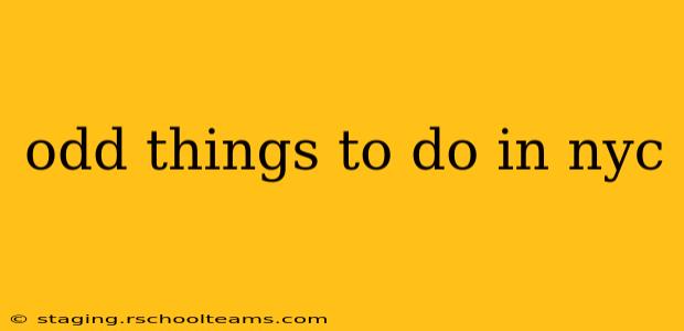odd things to do in nyc