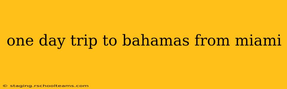 one day trip to bahamas from miami