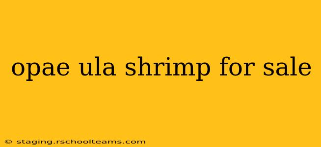 opae ula shrimp for sale