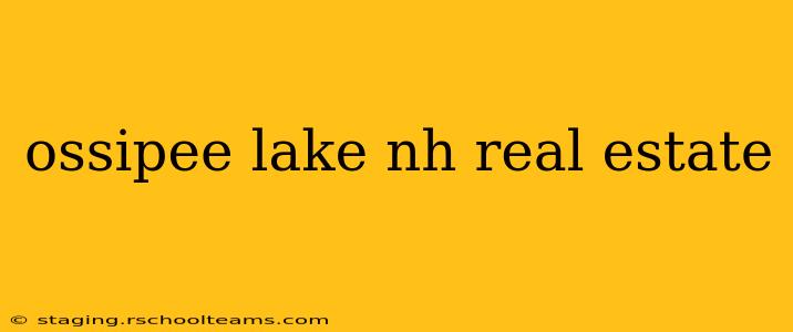 ossipee lake nh real estate