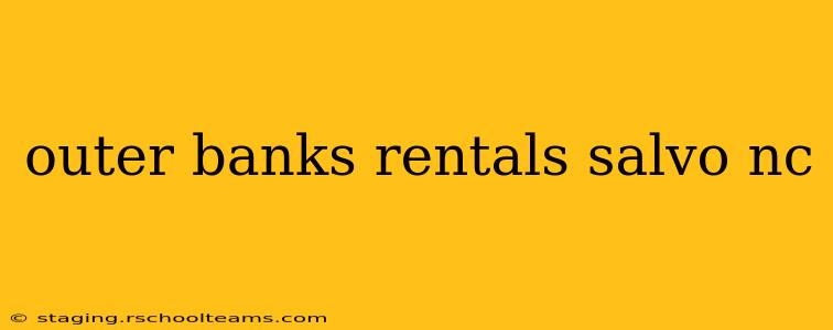 outer banks rentals salvo nc