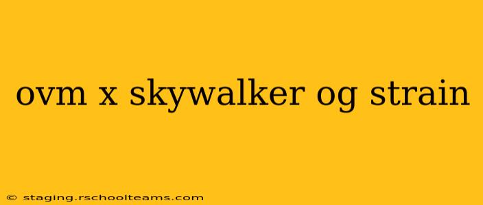 ovm x skywalker og strain