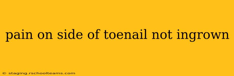 pain on side of toenail not ingrown