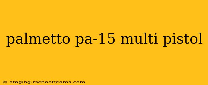 palmetto pa-15 multi pistol