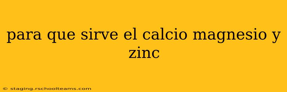 para que sirve el calcio magnesio y zinc