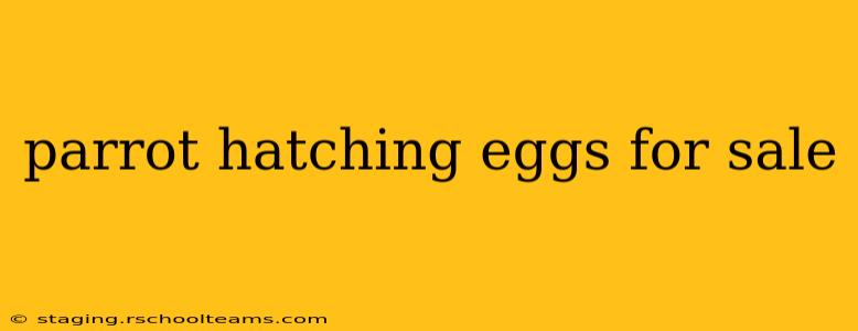 parrot hatching eggs for sale