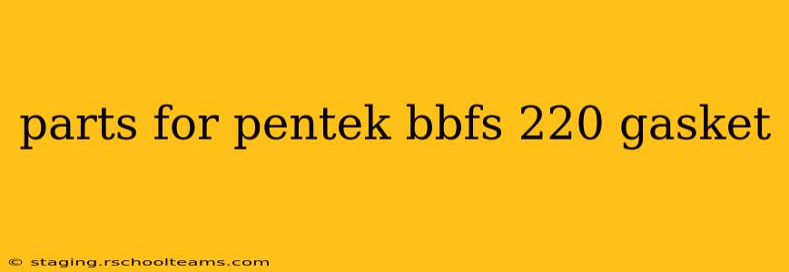 parts for pentek bbfs 220 gasket