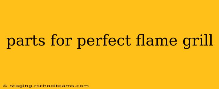 parts for perfect flame grill