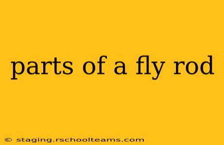 parts of a fly rod