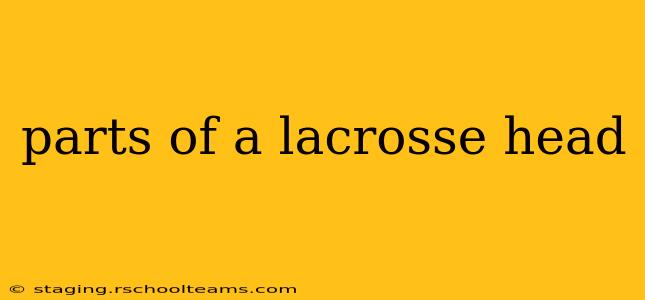 parts of a lacrosse head