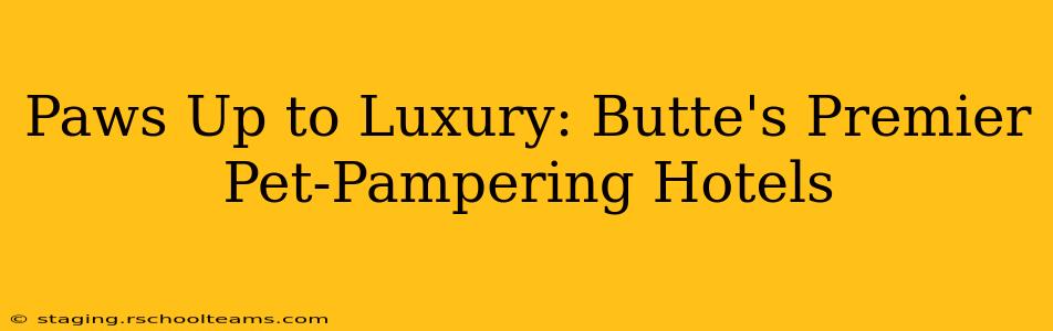 Paws Up to Luxury: Butte's Premier Pet-Pampering Hotels