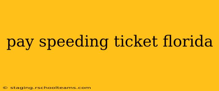 pay speeding ticket florida