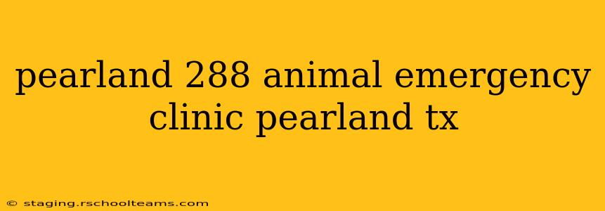 pearland 288 animal emergency clinic pearland tx