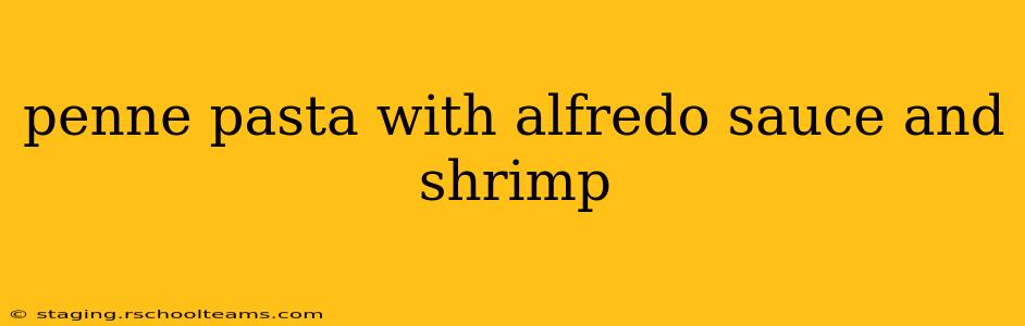 penne pasta with alfredo sauce and shrimp